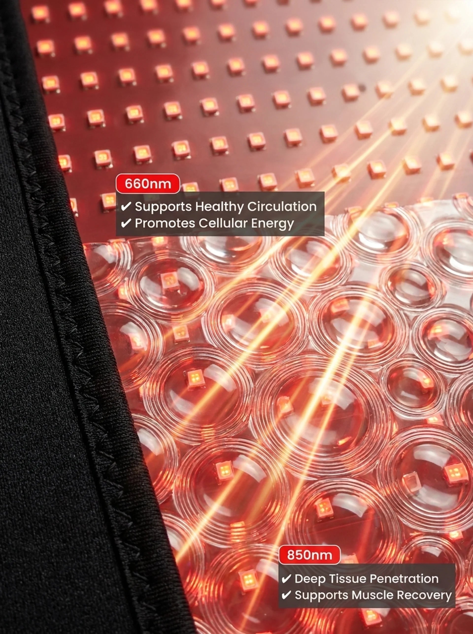 Close-up of the 660nm red and 850nm near-infrared LED panel on the Glouren infrared therapy belt